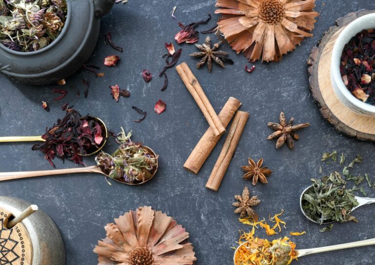A flat lay of various herbal tea ingredients, spices, and rustic utensils on dark surface.